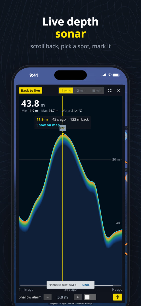 Live depth sonar